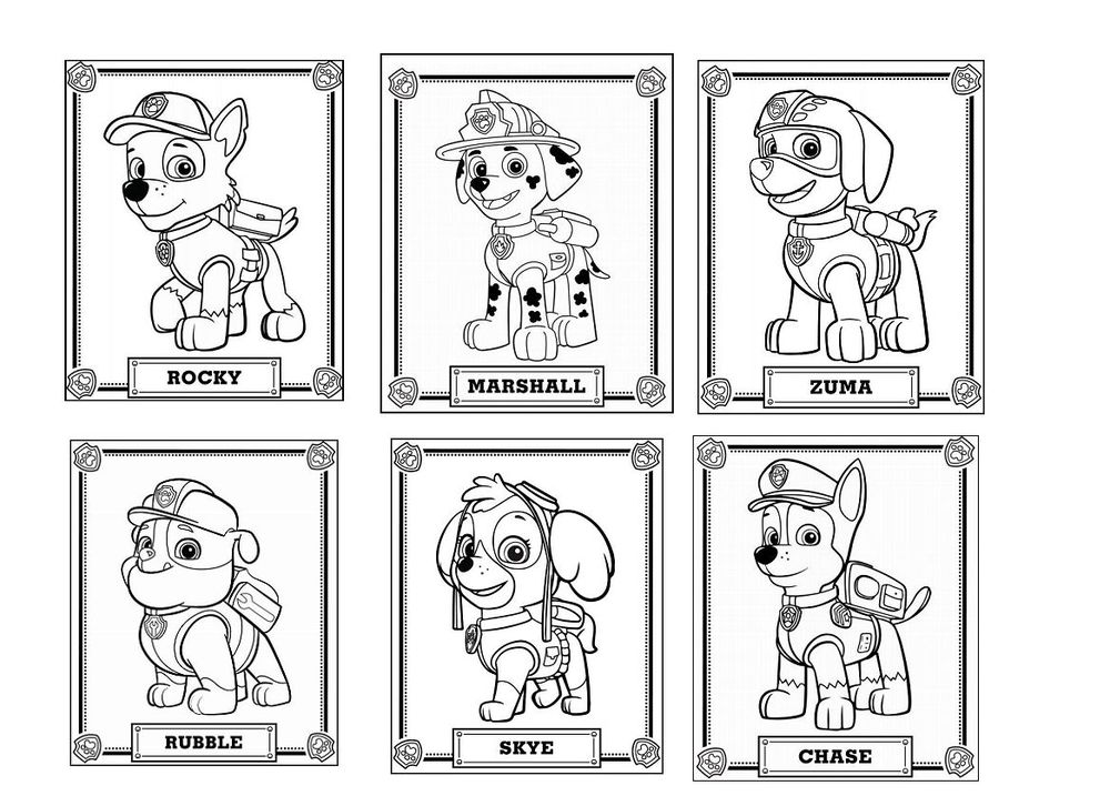 Desenhos para colorir - 50 opções para imprimir e é grátis!  Patrulha  canina para colorir, Patrulha canina desenho, Aniversário paw patrol