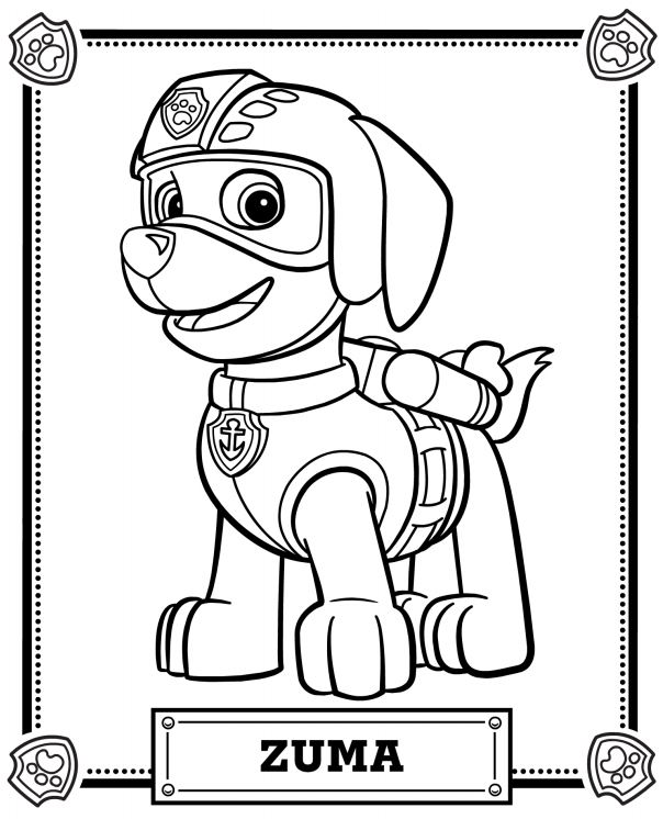 Patrulha canina para colorir