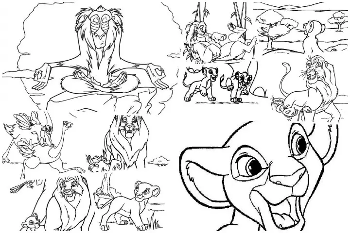desenhos para colorir rei leão