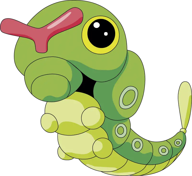 display caterpie