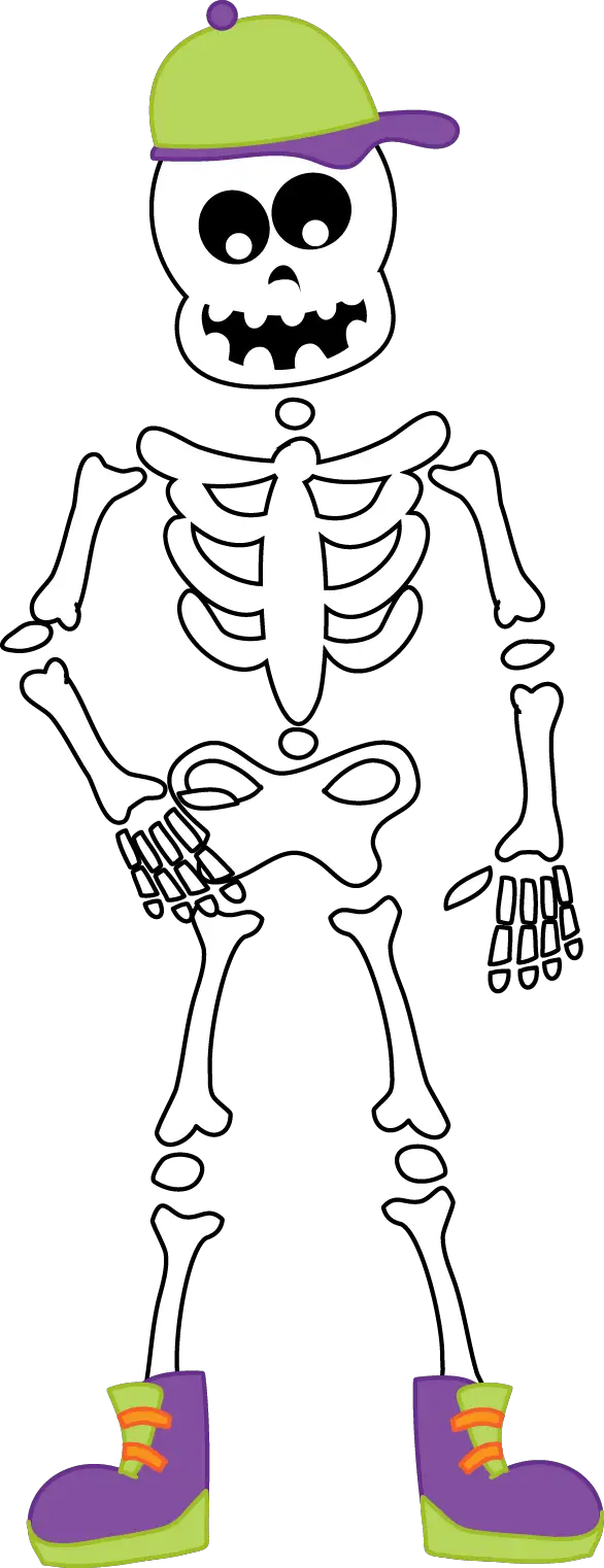 esqueleto 5
