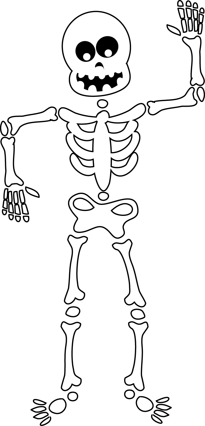 esqueleto 6
