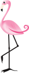 flamingo 1
