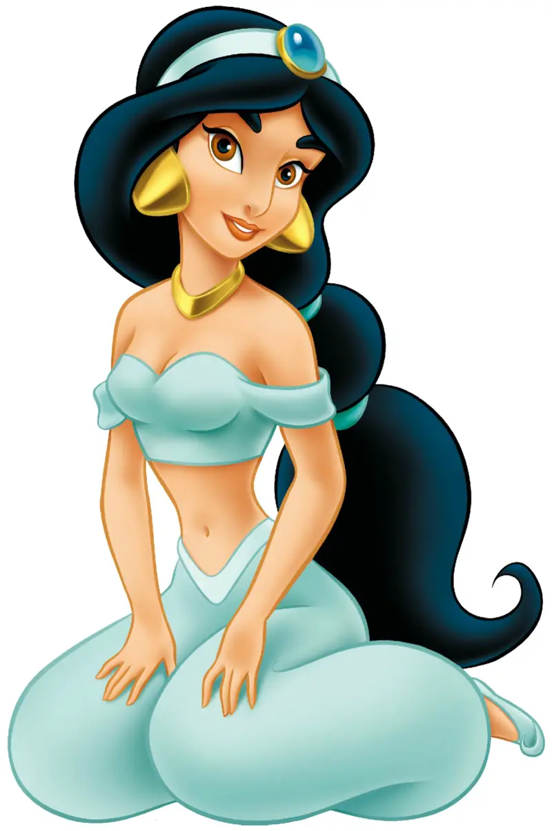 elementos festa personagem princesa jasmine 12