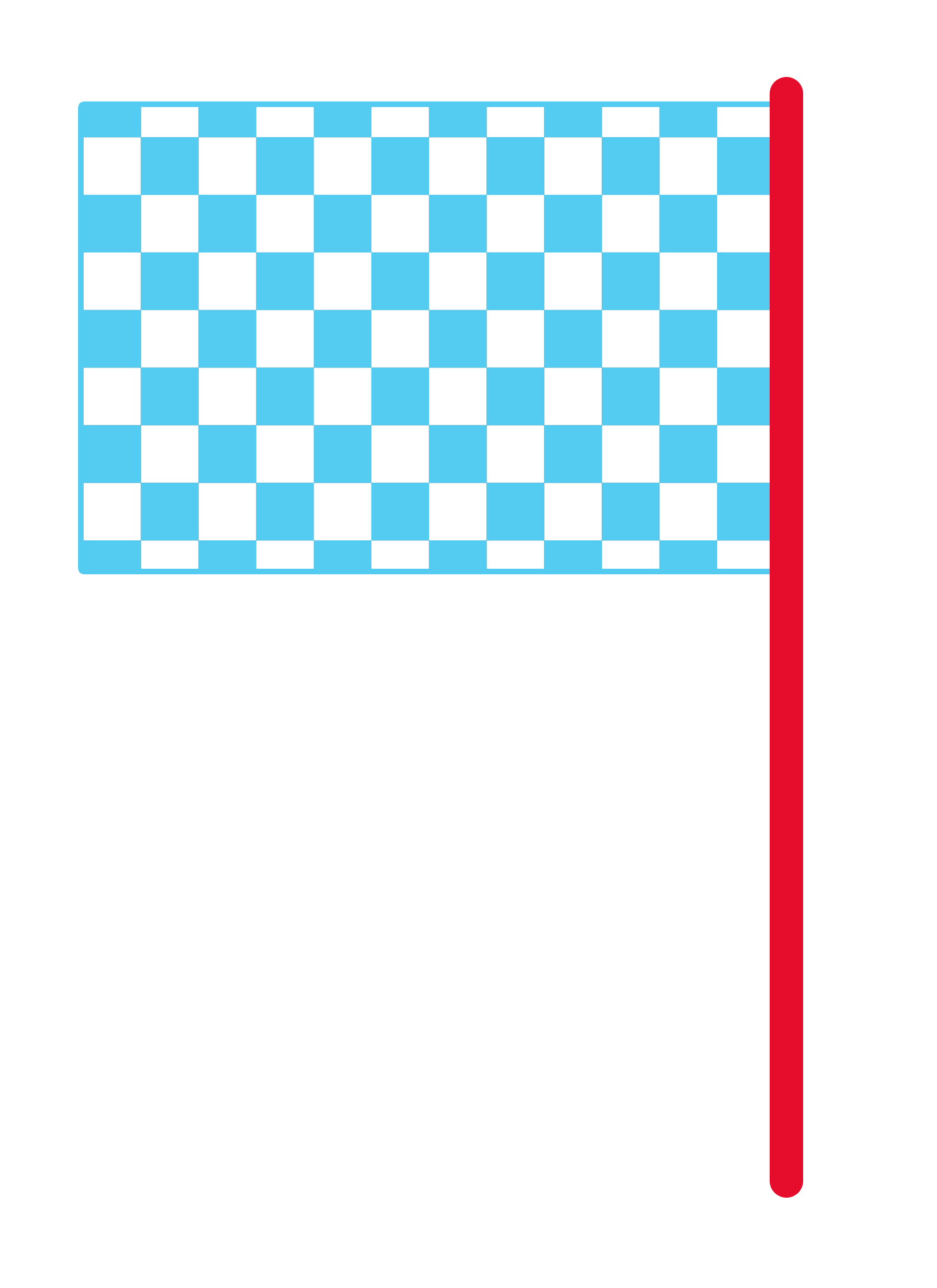 bandeira 6