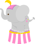 elefante circo 5